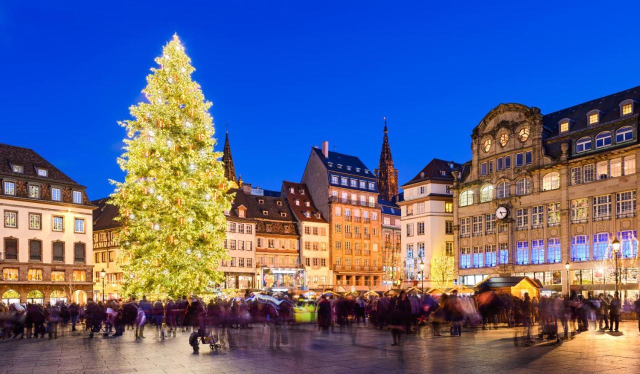 Strasbourg Appart Cosy Hyper Centre المظهر الخارجي الصورة