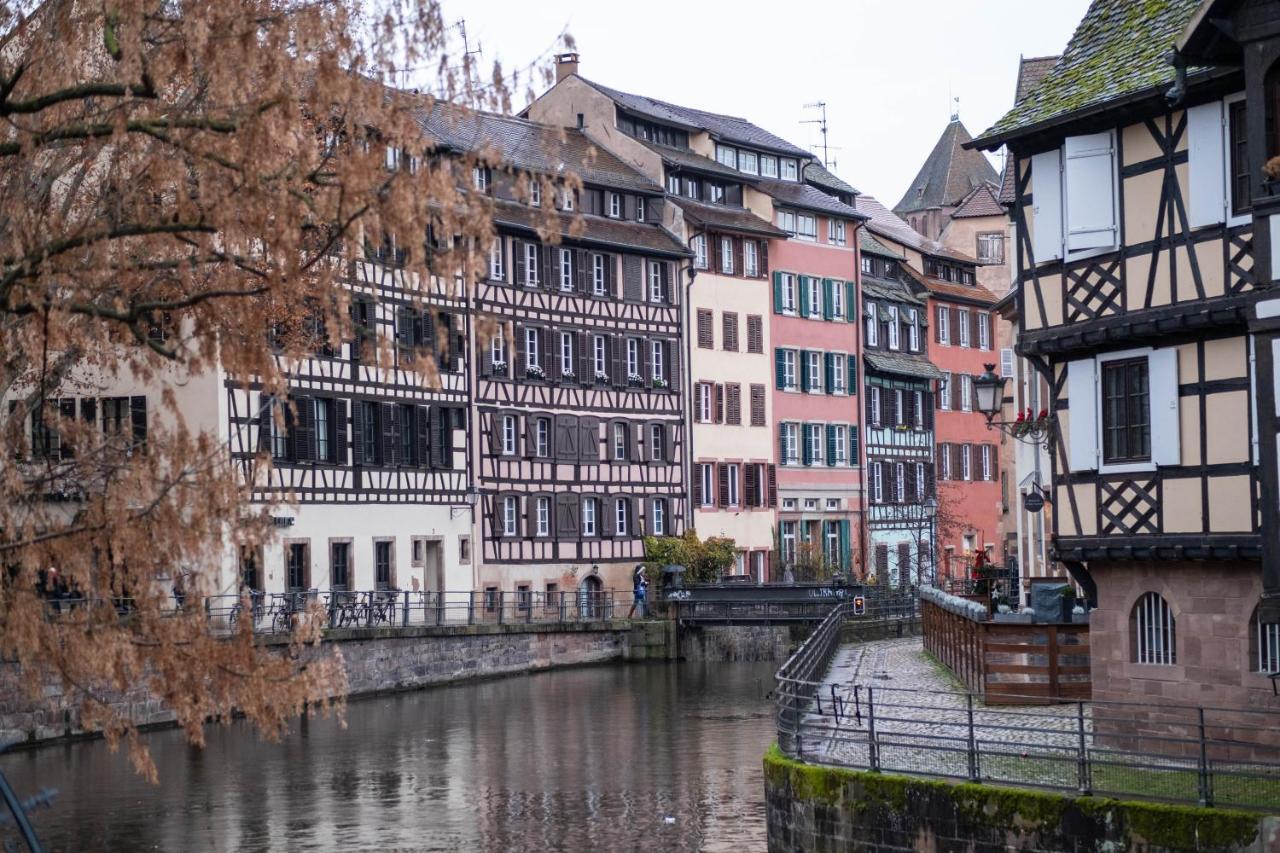 Strasbourg Appart Cosy Hyper Centre المظهر الخارجي الصورة