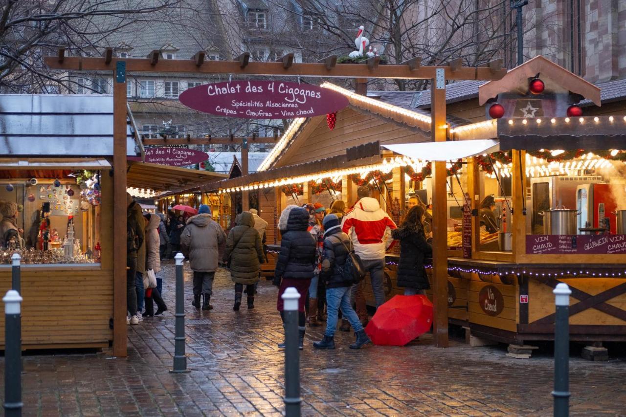 Strasbourg Appart Cosy Hyper Centre المظهر الخارجي الصورة