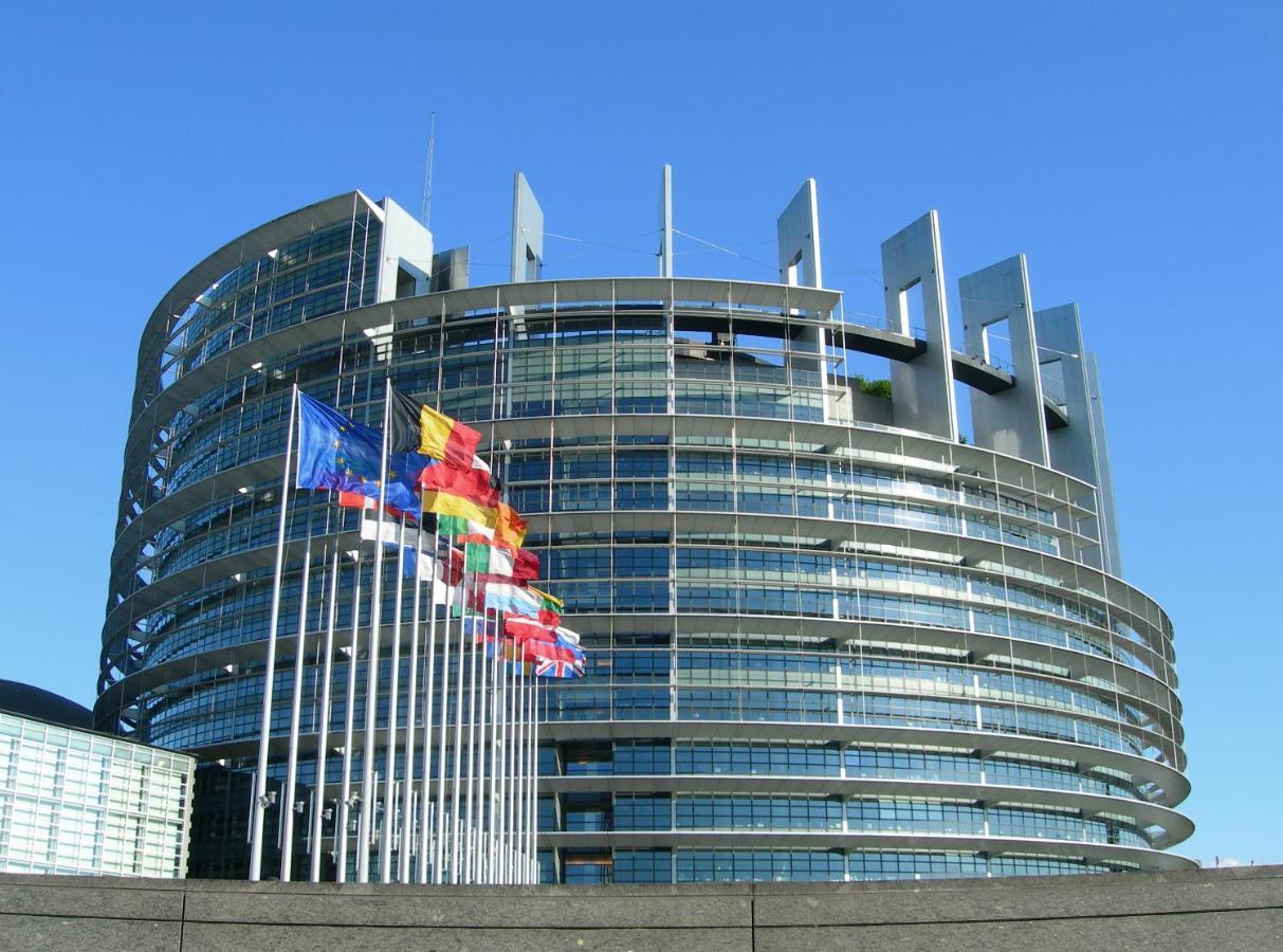Strasbourg Appart Cosy Hyper Centre المظهر الخارجي الصورة